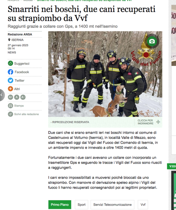 Cani Recuperati Dai Vigili Del Fuoco A 1400 Metri In Mezzo Alla Neve