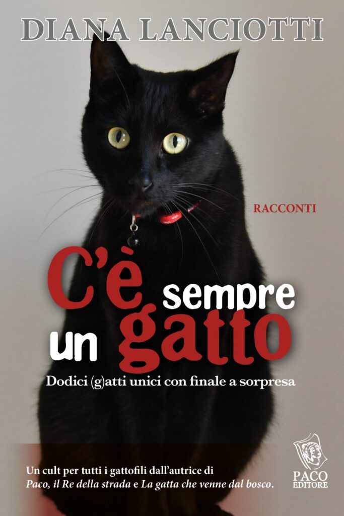 17 novembre: giornata mondiale del gatto nero - Il sito ufficiale di Diana  Lanciotti
