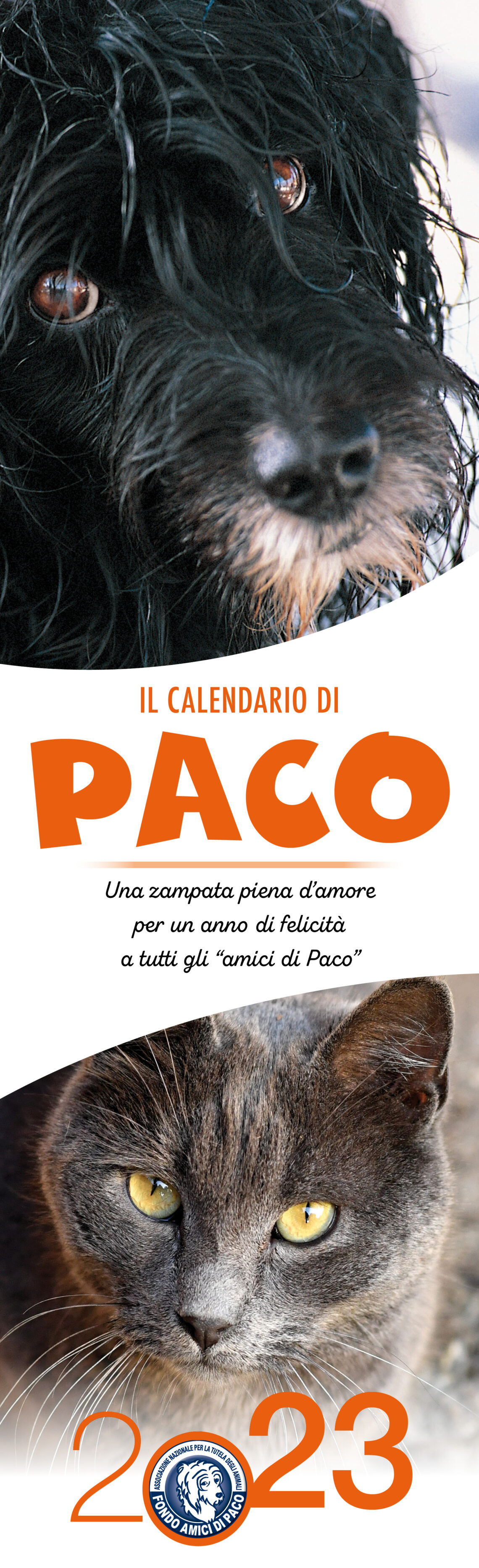 IL CALENDARIO DI PACO 2023 Un anno intero di bontà e tanti bei musi